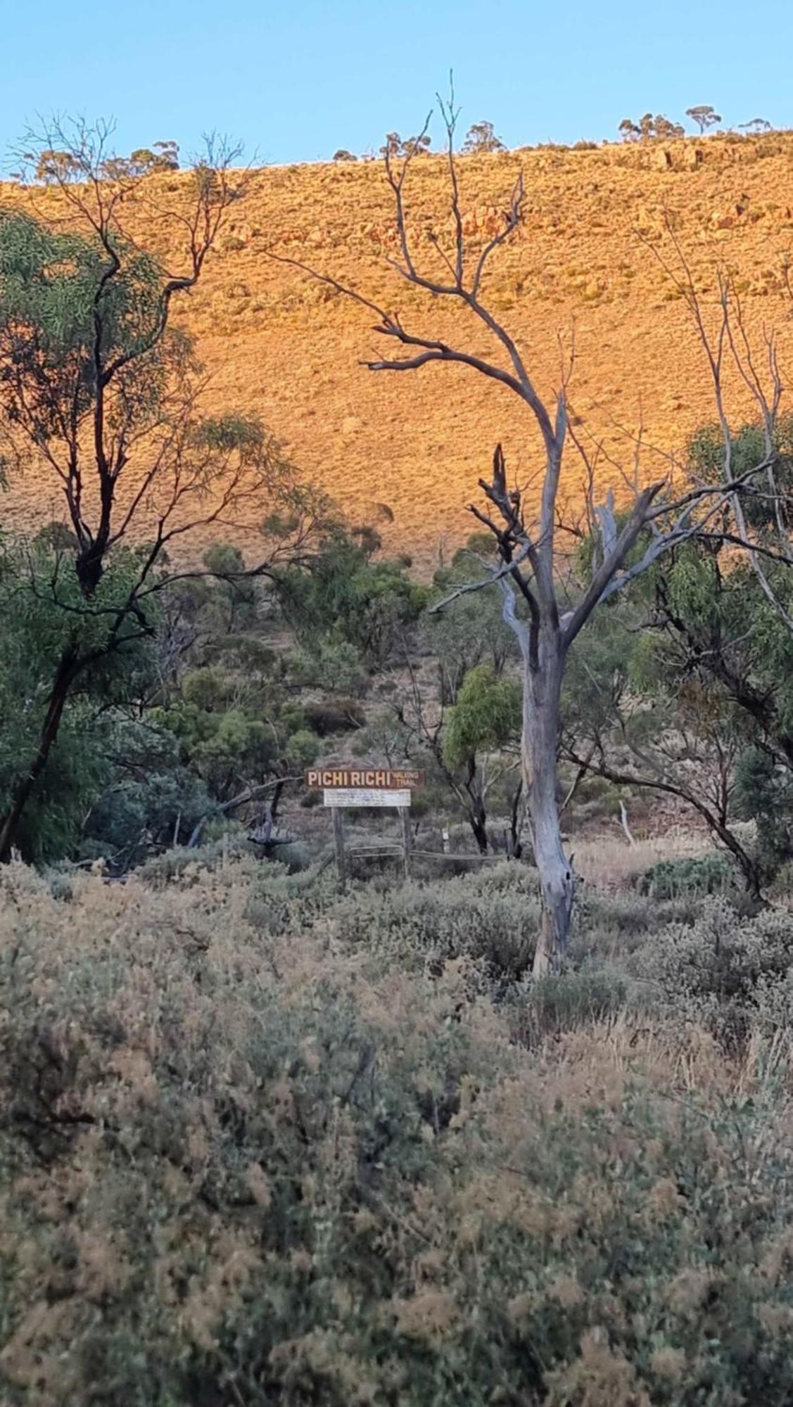 Villa Pichi Richi Park Quorn Exterior foto